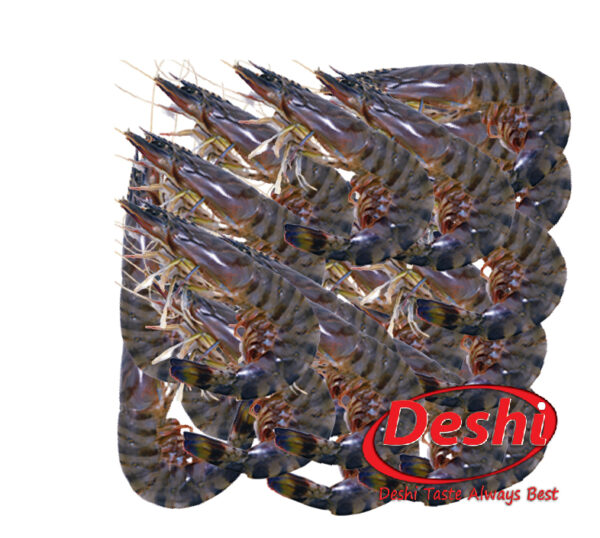 Black Tiger Shrimp 300g Box