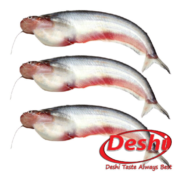 Pabda Fish 500gm Box - Image 2