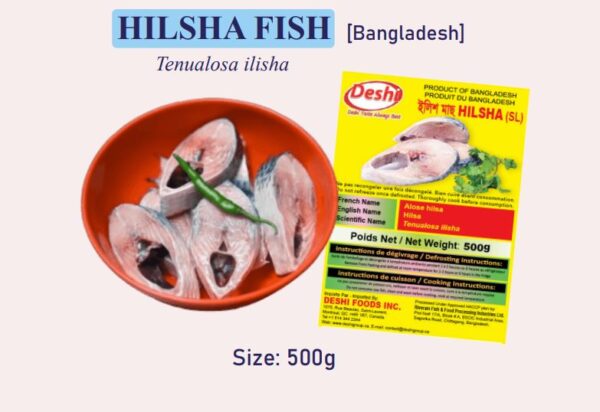 Hilsha 500g Box