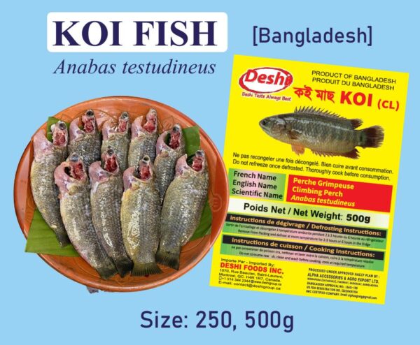 Koi Fish [(250gm OR 500gm) Box