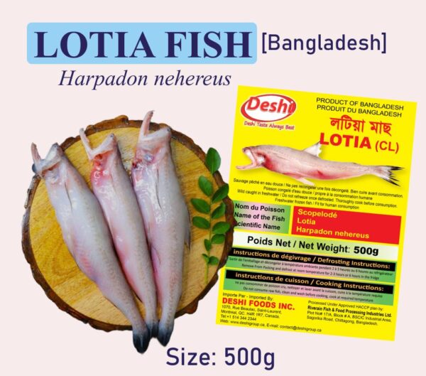 Lotia Fish 500gm Box