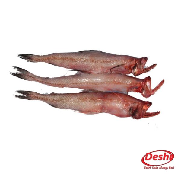 Lotia Fish 500gm Box - Image 3