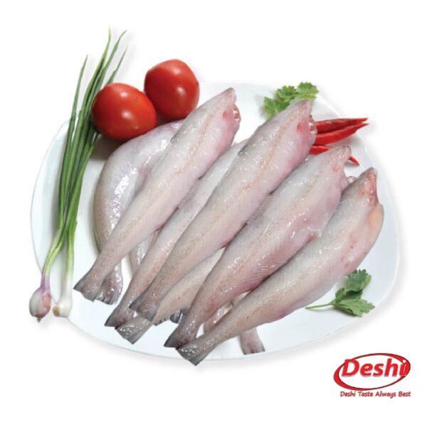 Lotia Fish 500gm Box - Image 2