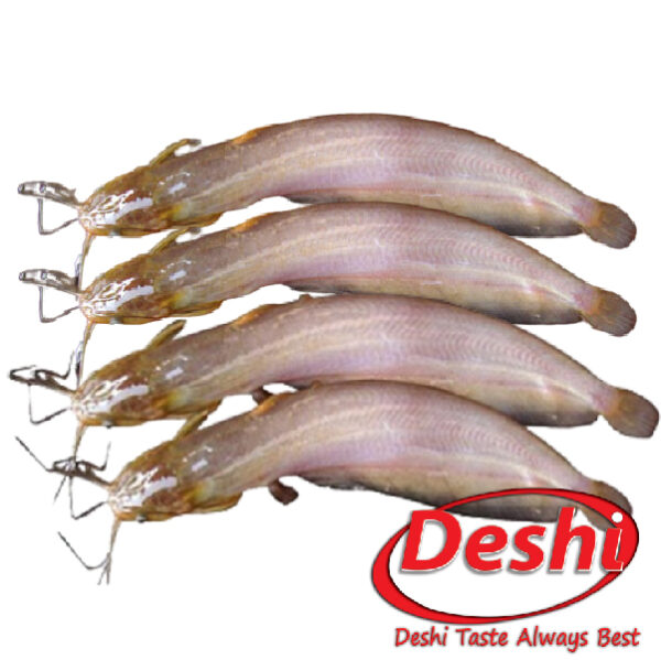 Shing Fish 500g Box - Image 2
